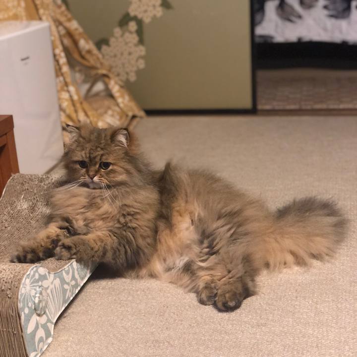 24309de7 360e 4a3a bce1 08903a77933e 1618314289717