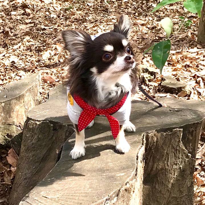 2430a425 447a 41a0 84dd d558f7e9d315 1584166364717