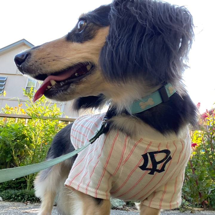 2430a51d fc65 4b5d 9b04 c58ae6108dbe 1726628976887