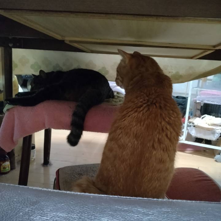 2430b22f 8919 494b 8e8a 8e3500d5f7b5 1702523886666