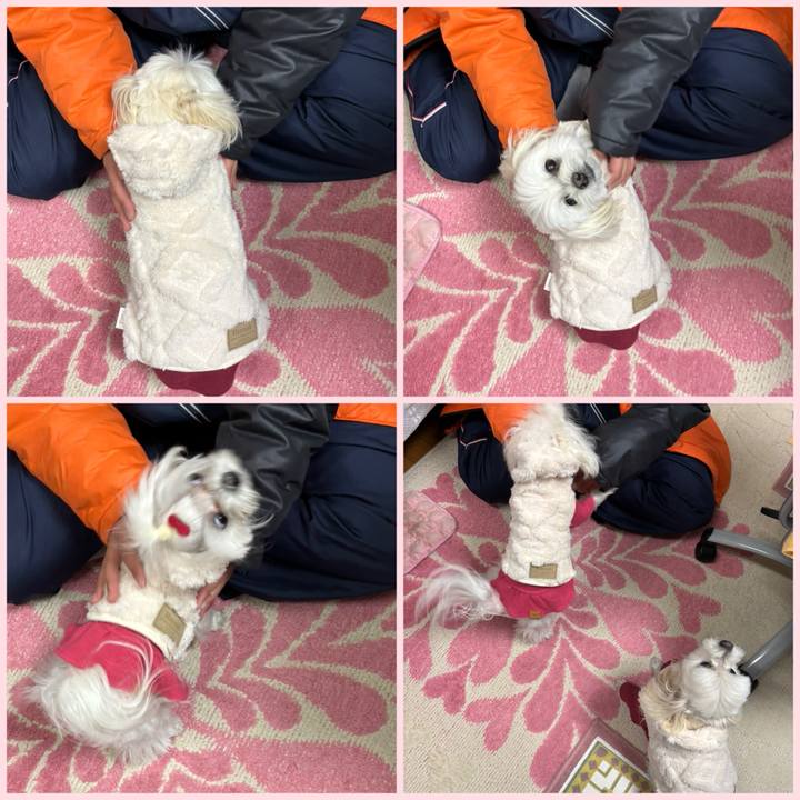 2430b6df 57fb 4198 bce3 af594074b8ec 1738843418211