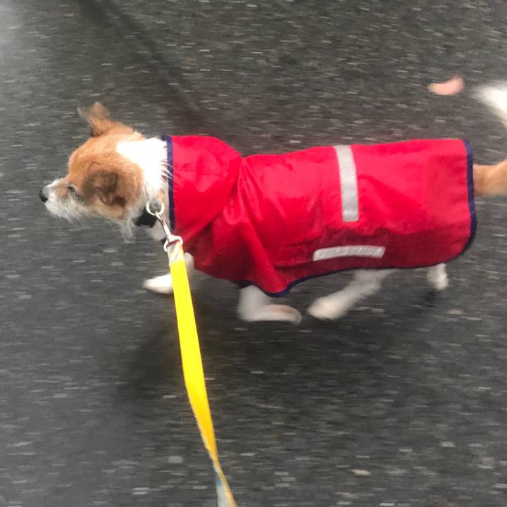 2430d5c6 08ce 4ac7 93c5 a7a6afa0a1c1 1571954120548