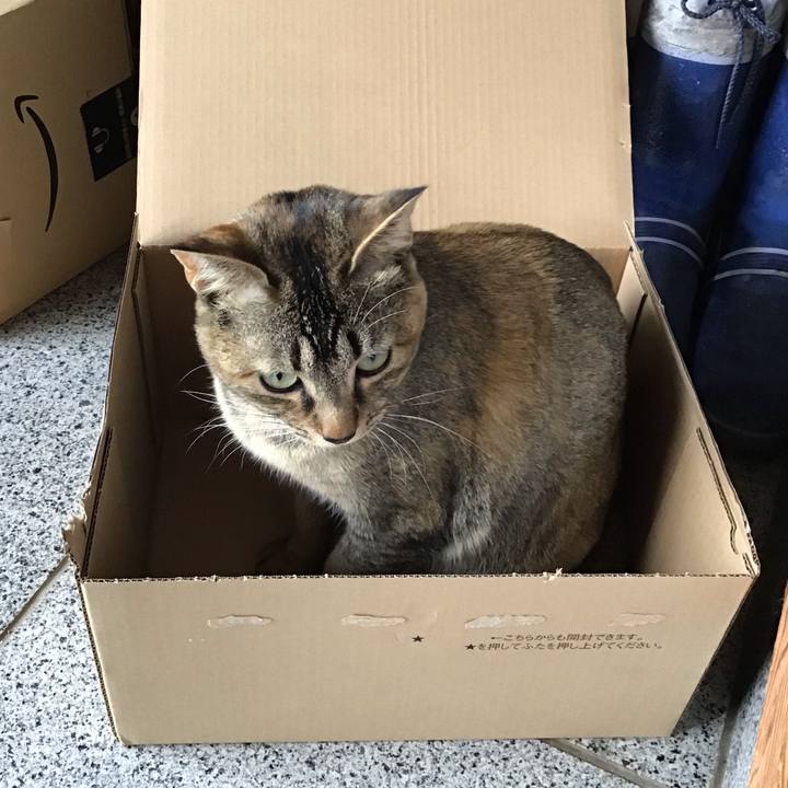 2430ec77 2601 41d9 820e 0cf7ebe71011 1587596423904