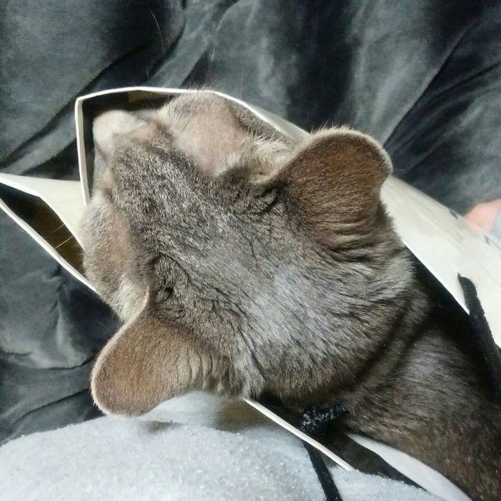 2430f1d5 ffd9 440c a542 cf293de73ecd 1521556709821