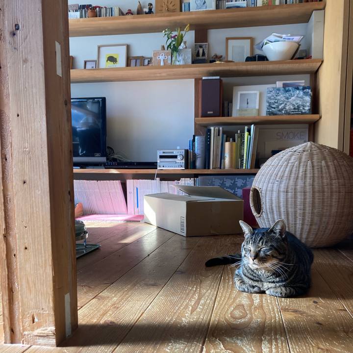 243119c5 0630 4510 9bb0 f68ede18dd2f 1674014336146