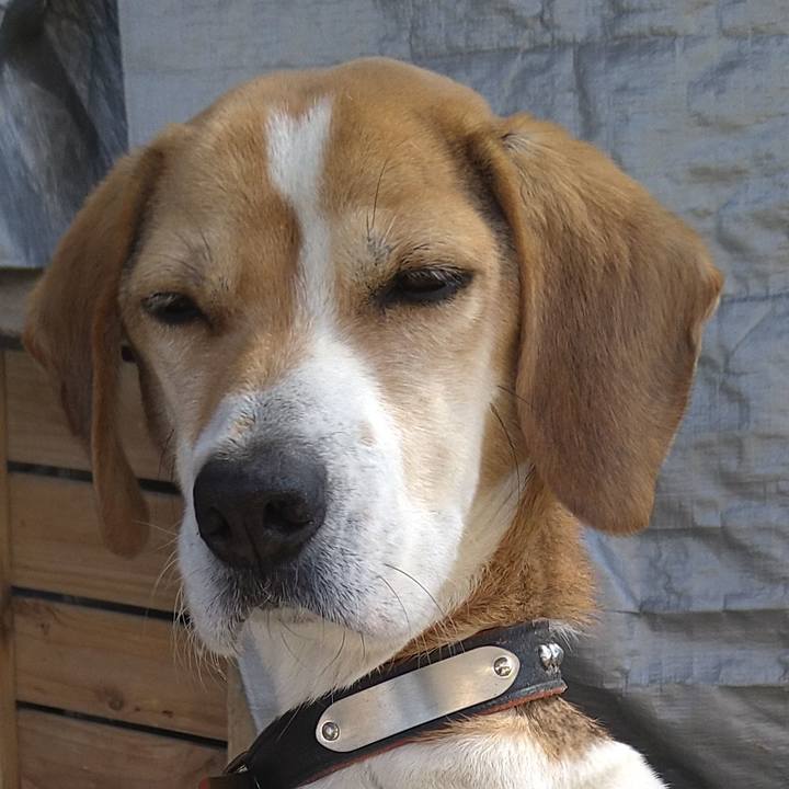 24312646 fd77 4d7a b382 07928a117505 1661340178205