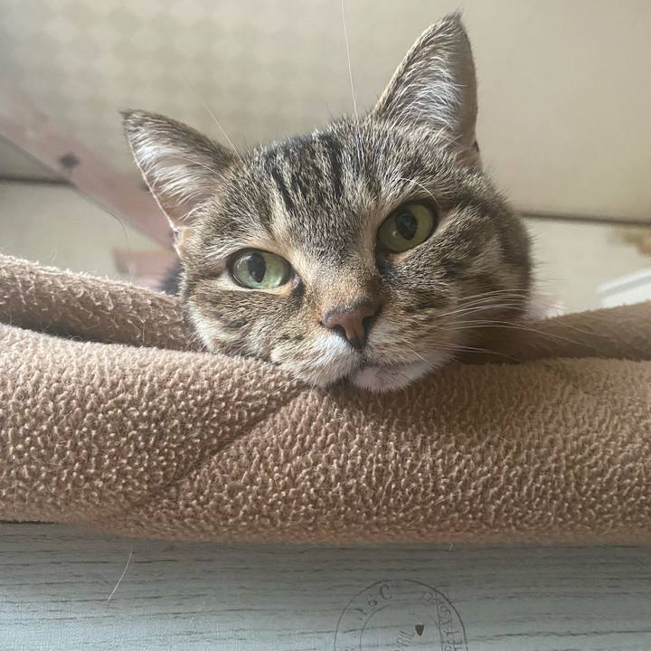 24312a84 e4a8 46da 963c e705022e22e0 1744264570718