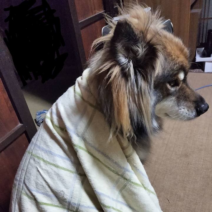 2431395f 0747 4b64 9fe2 28a7119888ce 1670413518585