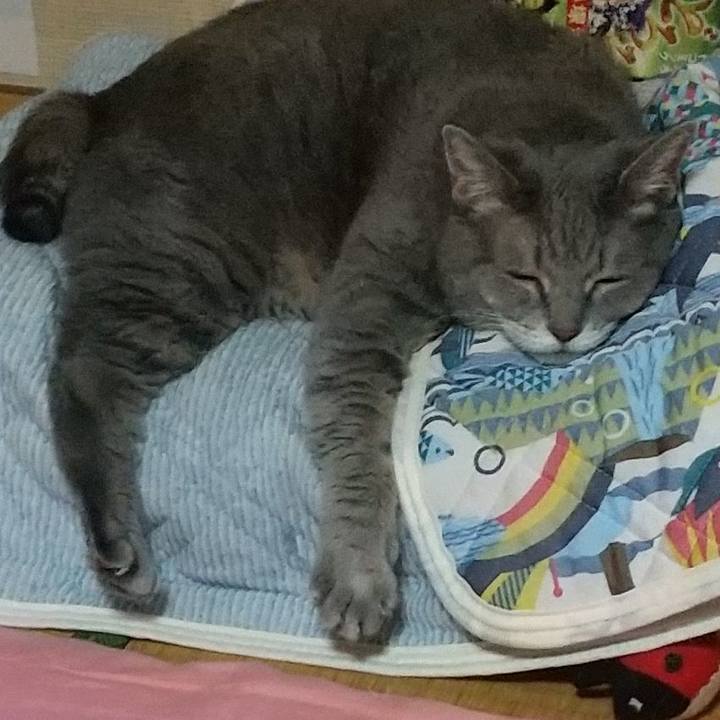 24314b9c 3b97 4454 a43f 884f551e3a8a 1599830251996