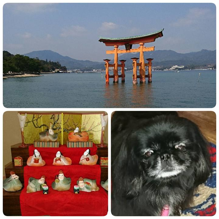 243163fd 4c93 47ba b2ba 1e3df5dde531 1553598186184