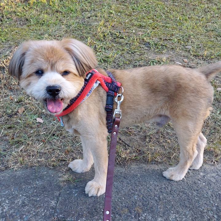 2431bc97 f9ef 4c62 b123 1252cee04000 1656502529446