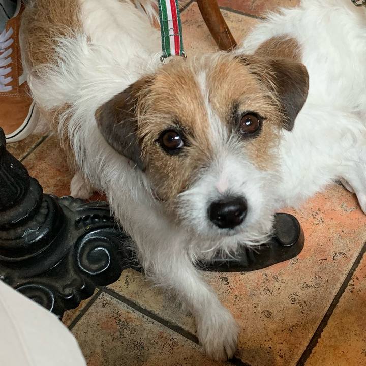 2431bd6c 18b7 4e0d 94aa b4d6cf49f8f7 1774787480650