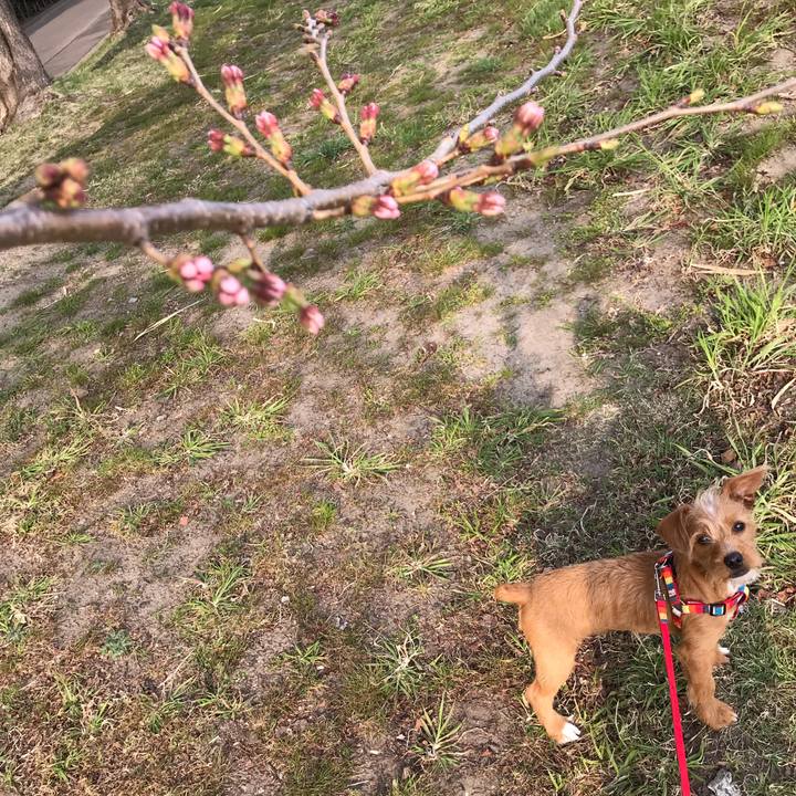 2431e0ae 11cf 4840 a01f ab825096b300 1522570032876