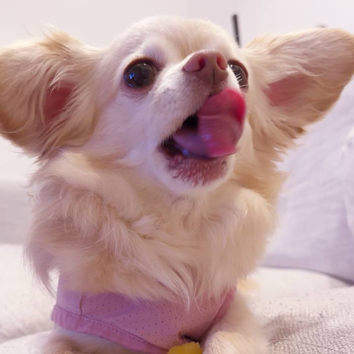 24320fbe 2c6f 4459 8808 c6c188903960 1749562179935