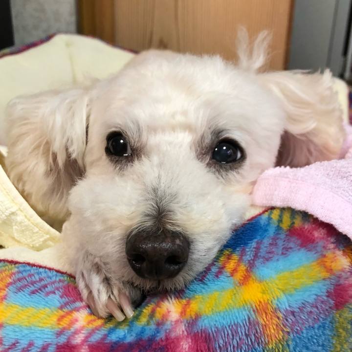 24322a52 c1e8 405c b34b ed93168f82db 1530786846753