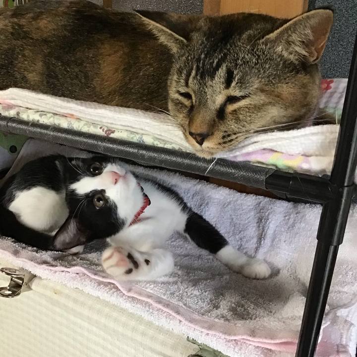 243250b1 670d 4522 9141 54f2ed17e2cc 1626937718297