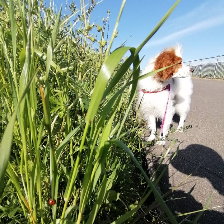 2432525d 2da0 4398 aca2 1c6191f1112f 1588851529303