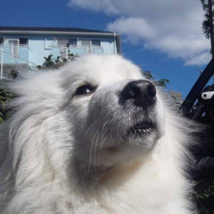 24325aaf d3d0 42b0 86c4 ab6e7a8b9949 1677843902856