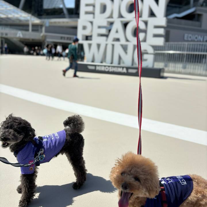 2432ac23 aeeb 4773 afbf c0ed8e4f5cf3 1713501254430