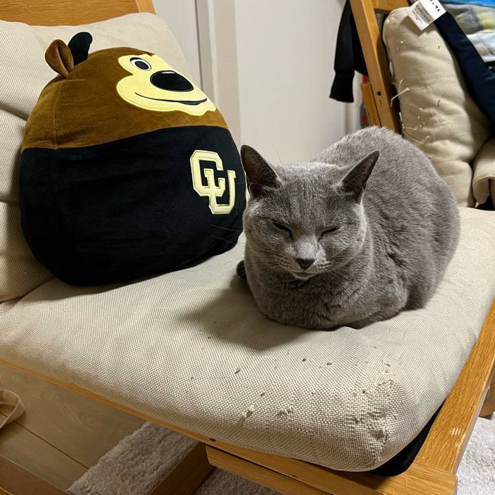 2432c2ce fdde 48b5 96e2 04c97b688cf1 1765065464019