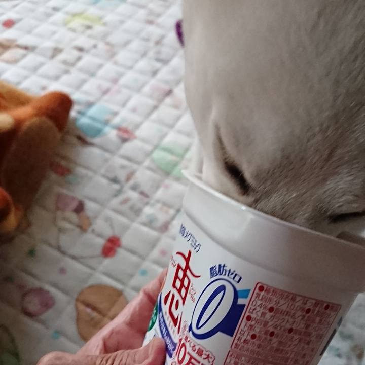 2432d7af 9c2c 4cd1 8f30 7bd3b4ad84c8 1540505630835