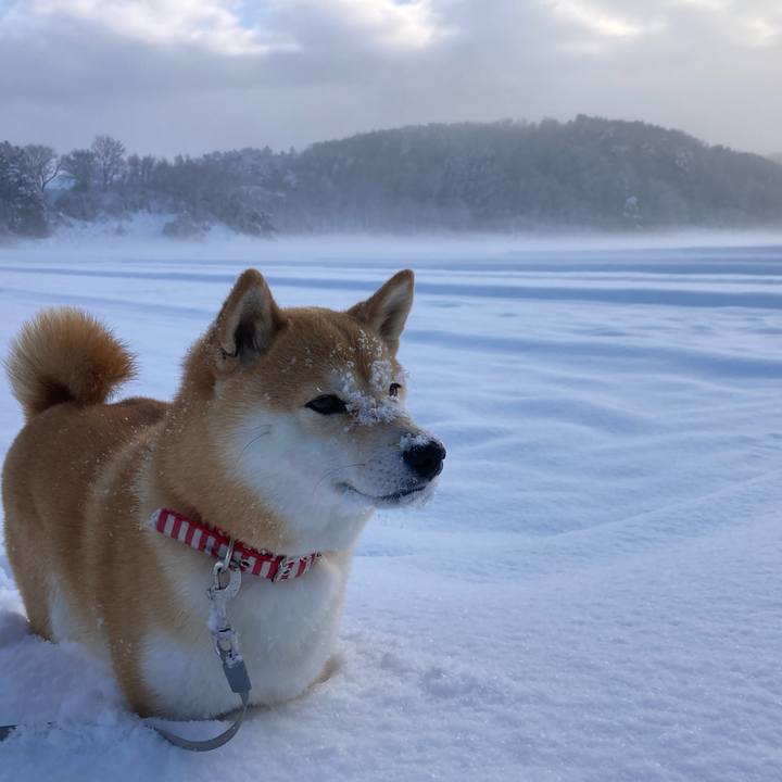 2432f51e cdef 4847 a5a8 02bb47053238 1676071269489