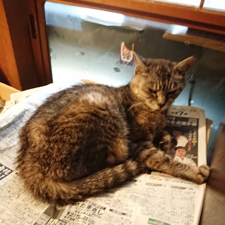 243319d0 d7b3 43ce 9a83 d3826ffbe77d 1568118649467