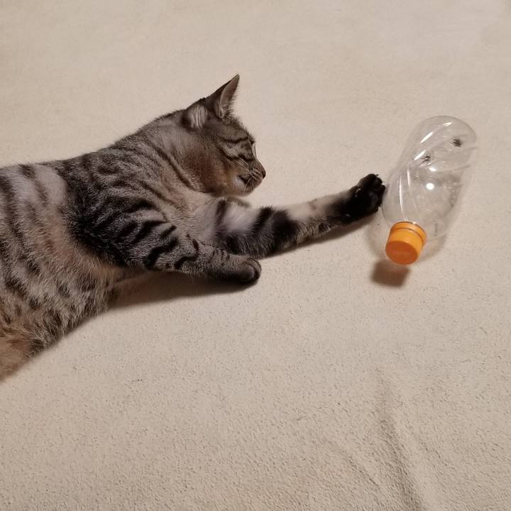 24334d73 f7e5 4b57 9cfe ab9d2662f50c 1693090355161