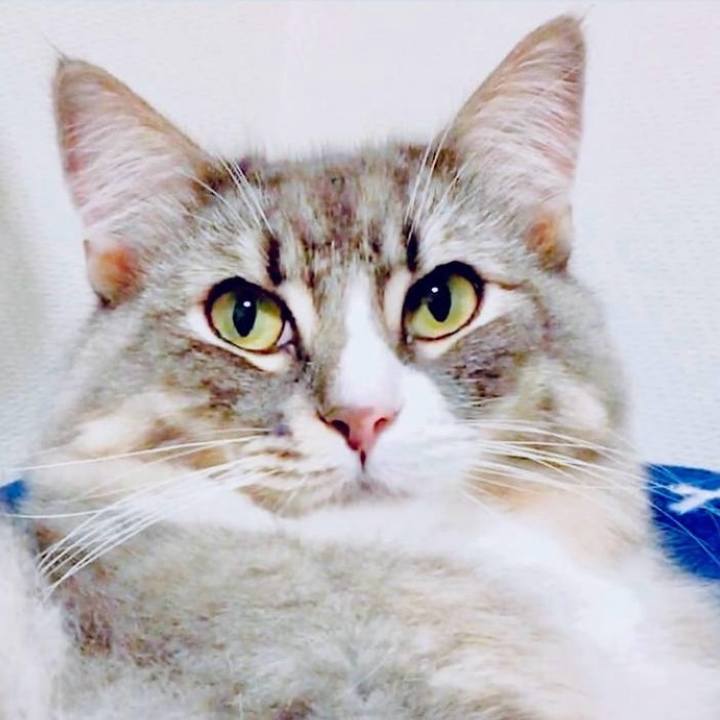 24336c5a 90c9 4fe5 a80a 81abf877d413 1763312676261