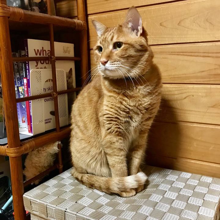 24337241 3ca8 4eea 9827 145d182e9dbd 1526823411014