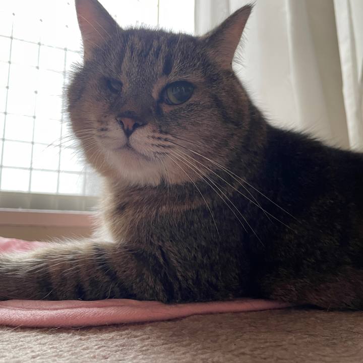 24338291 24c5 4f44 b905 73788431028e 1718747791185