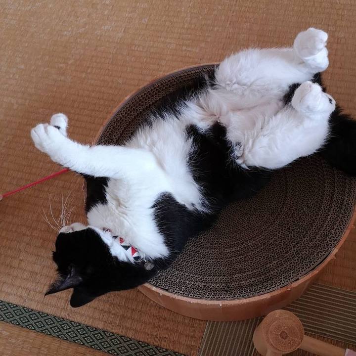 2433afa1 2d0f 4820 a1cc 7872932ef156 1629430178985