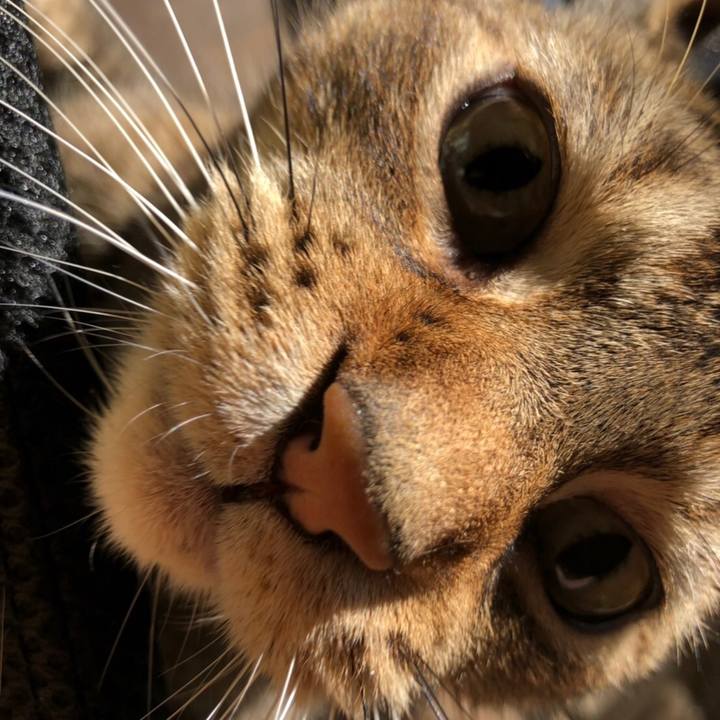 2433d10c 40f2 4044 bced afd30e267856 1638680293009