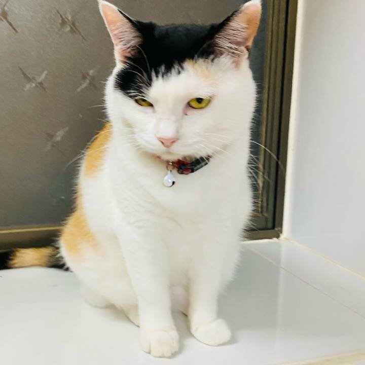 24342f58 5f27 4055 bf37 fa1ff67541b1 1689774620064