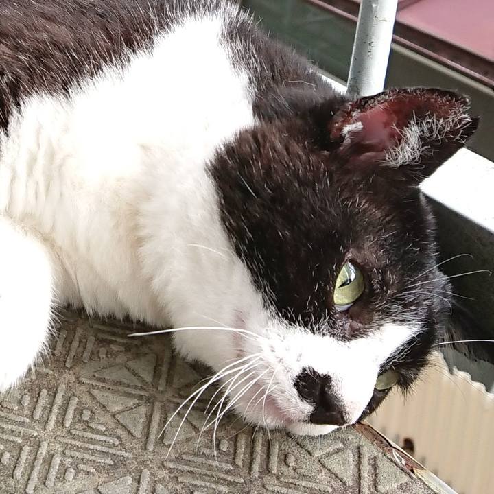 24343b13 554b 4b88 a989 ff79f9270aca 1593401919340