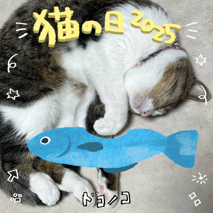 243466c8 8071 4435 ac2d 6fd336bb6403 1740160667248