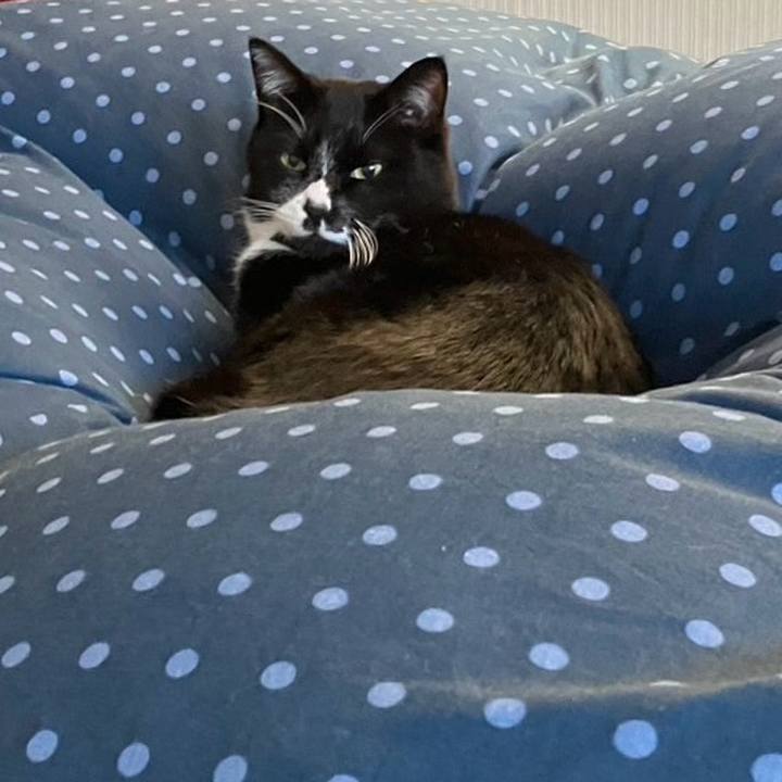 24346b83 c730 4c77 a965 8b68034e991b 1742898418645