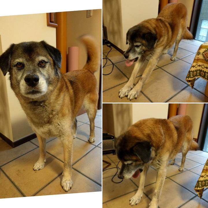 24350640 b9d2 41a3 82a5 0a16c99c4880 1530862014986