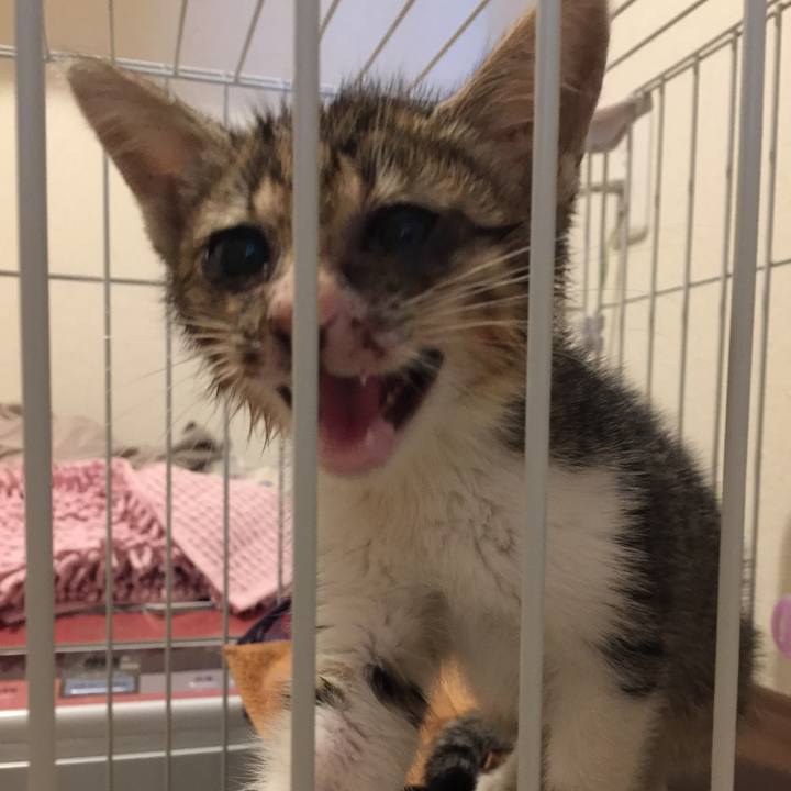 24350a80 7232 41cf 9191 934c1e2a6b40 1533338321146