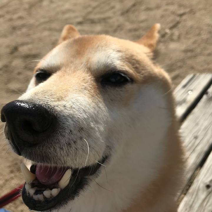 2435615a b386 4aa0 88f7 e1b2e2f49b95 1517794855302