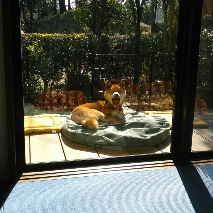 24356314 12c6 410e 888c 7b5432021aac 1518147524466