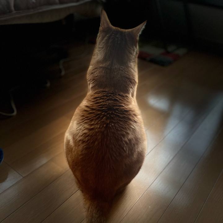 24357296 021b 40f2 b1ce bf66c695479b 1647208768406