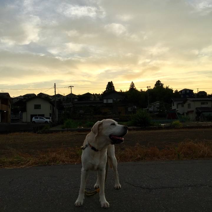 24359971 3e7d 42d0 a117 3bb0d1c71bd6 1569395738632