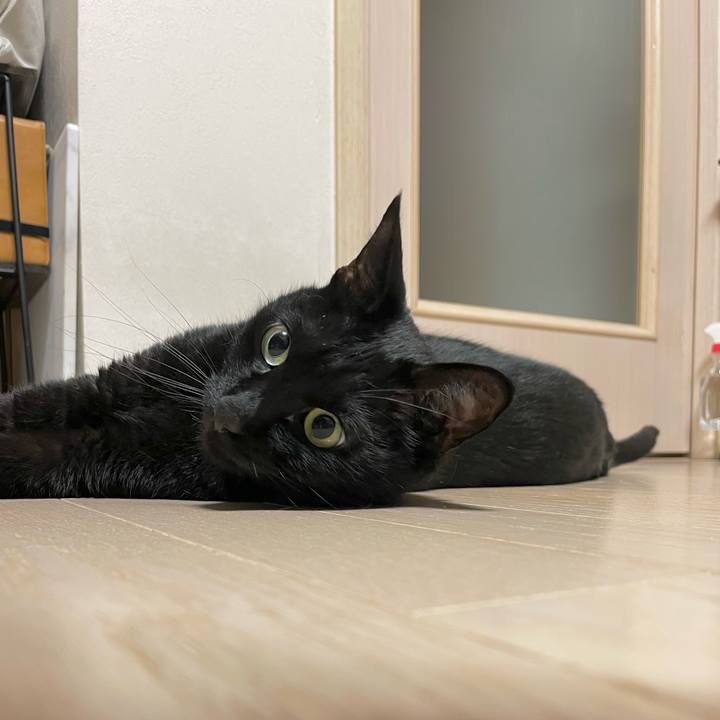 2435b432 30eb 46a8 9fc4 9a18c4cc788b 1650980108216