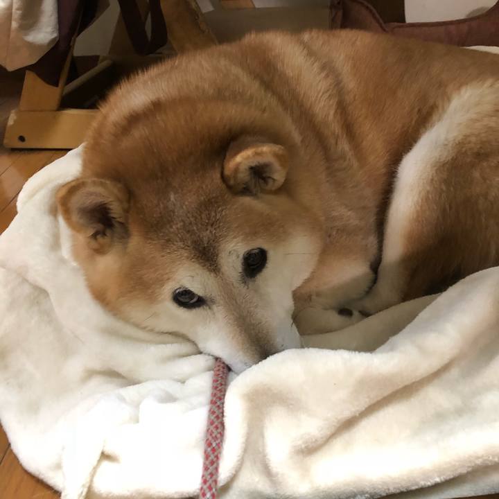 243653f0 8d04 402f ad05 40d676384567 1548074436273