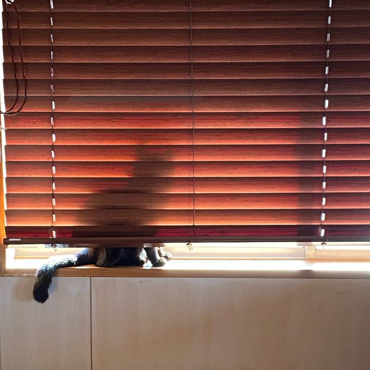 24367889 5943 486e a96a 3978f4f75c00 1585955478108