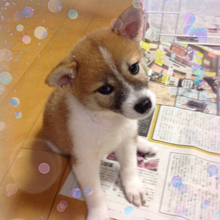 24367cad 8891 4566 8d19 2e9b5fb0c7e1 1620172860685