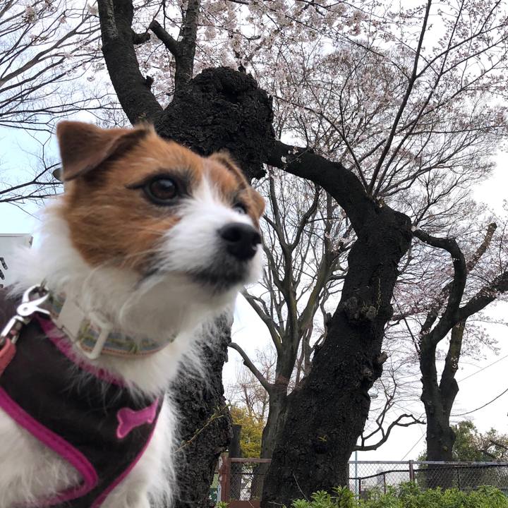 24368fd5 0cd0 4495 a218 0f57852442b6 1603974484348