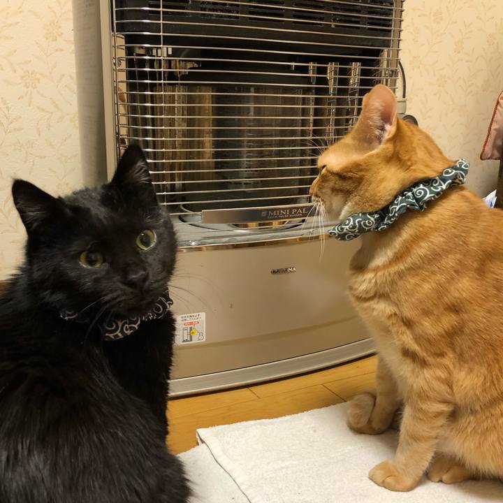 2436cc3f 15af 403f 9573 7c5ab00f81ce 1576309532105