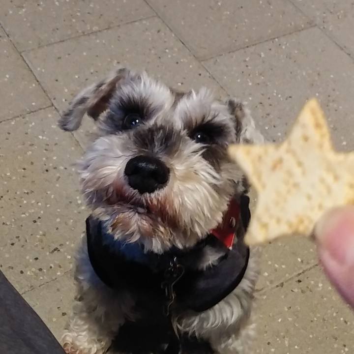 2436cda5 418d 4088 98b4 b4d618e1c093 1552387128714